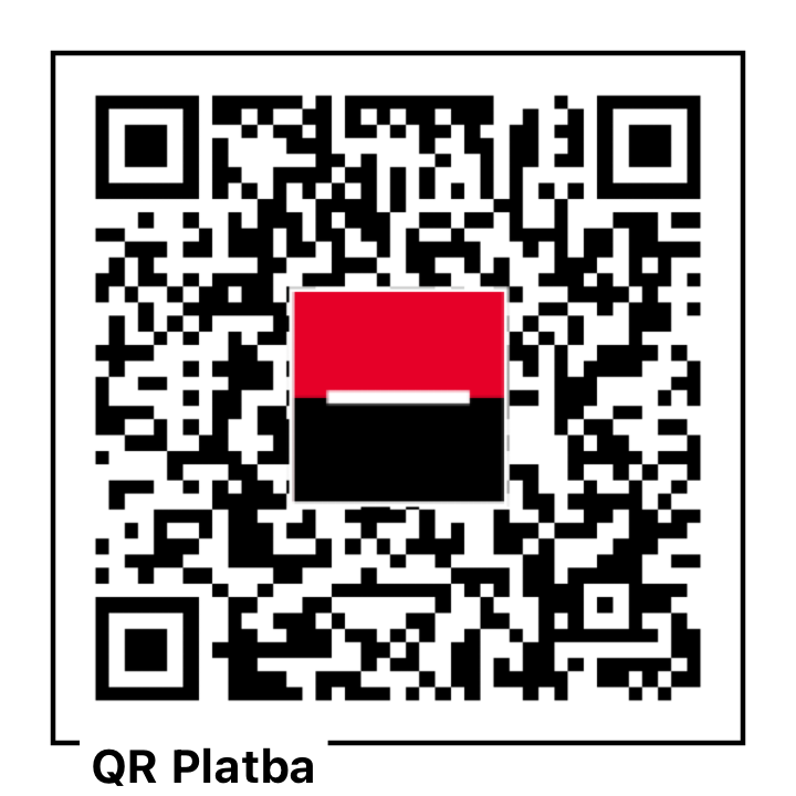 QR kód pro platbu 10 vstupů