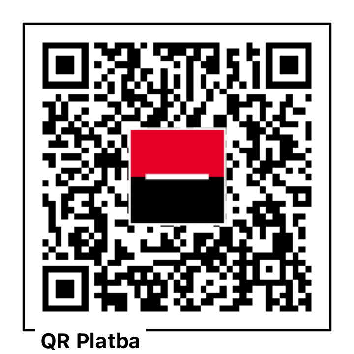 QR kód pro platbu 20 vstupů